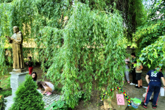 IMG-20250531-WA0028