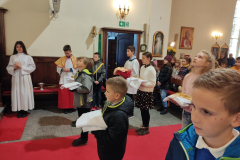 IMG_20221120_094329